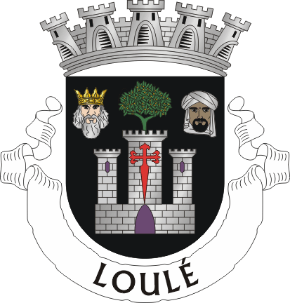 camara_municipal_loule